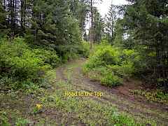 2420 A Cedonia Addy Rd-6