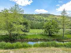 004-512 Williams Lake Rd 090