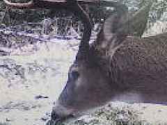 20251031201636871320000000