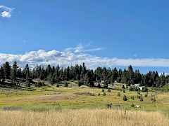 14.15 south facing acres with little home, barn, easy year round access with foundation and utilities to build main home in place.