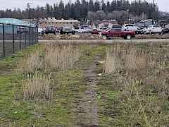 Along northside looking east