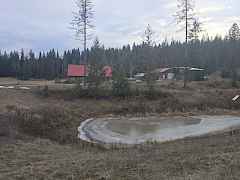 Pond home view