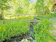 Bridge Over Peaceful Waters