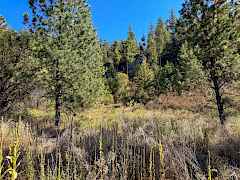 1-IMG_9048